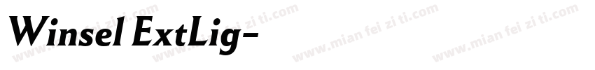 Winsel ExtLig字体转换